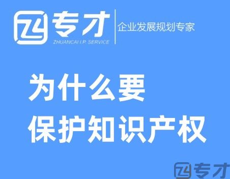 为什么要保护知识产权.jpg