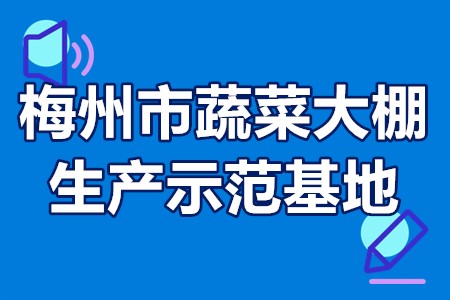 梅州市蔬菜大棚生产示范基地建设项目申报条件、流程、补助250