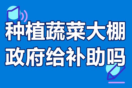 种植蔬菜大棚政府给补助吗 建设蔬菜大棚国家有什么补贴政策