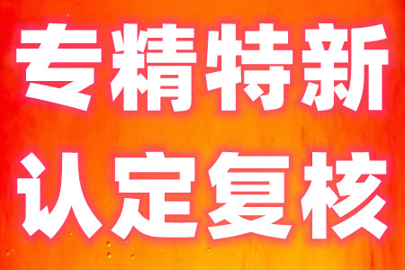 广东省专精特新中小企业认定及复核的申报条件扶持标准申报材料