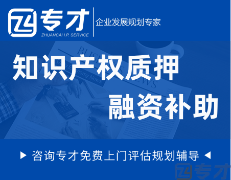 知识产权质押融资补助.png